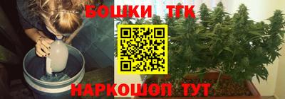 крисы Нальчик