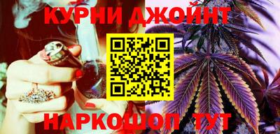 крисы Нальчик