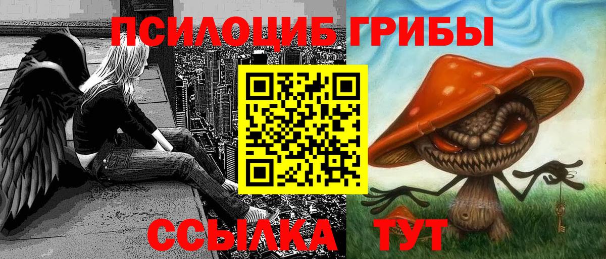 Псилоцибиновые грибы GOLDEN TEACHER Азнакаево